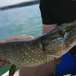 Prázdninový dům Blue Bird *