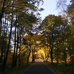 Blue Bird Prázdninový dům *