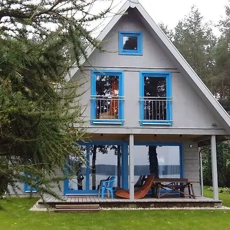 Blue Bird *