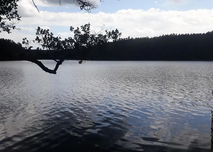 Blue Bird Holiday home *