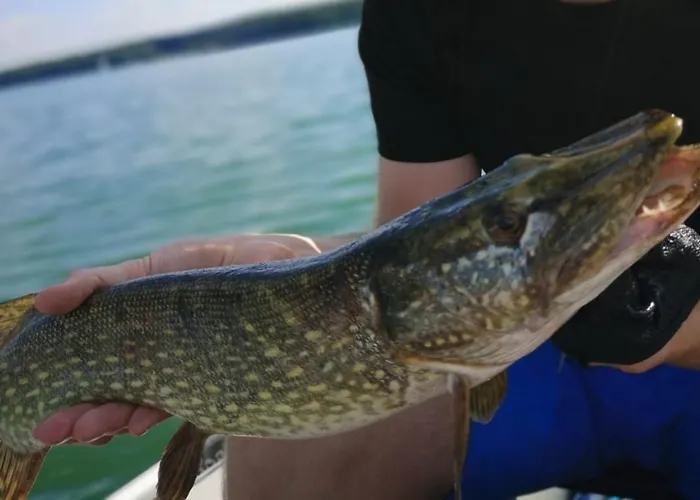 Holiday home Blue Bird *