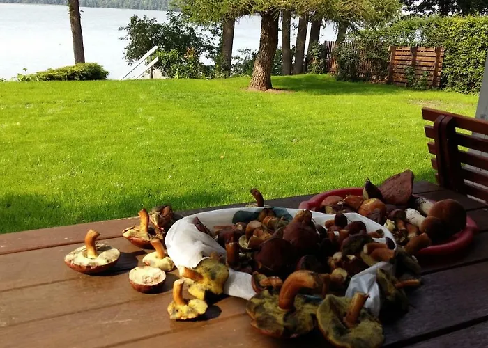 Holiday home Blue Bird