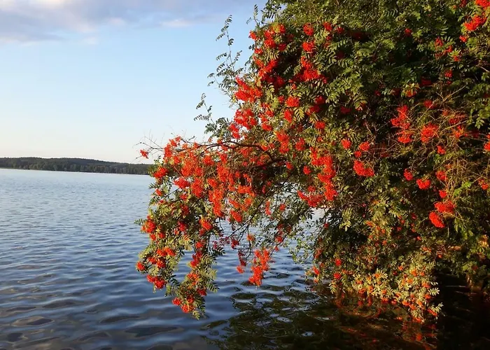 Holiday home Blue Bird